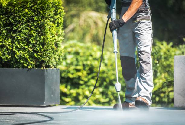 Best House Exterior Washing  in Lynnville, IN
